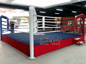 設計之美 從概念到現實的橋梁